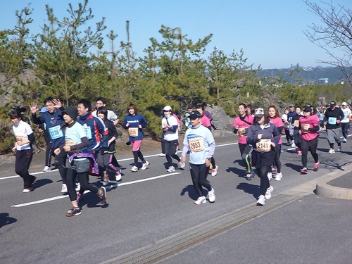 第33回ランニング桜島大会のランナーの様子