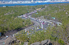 running-sakurajima-2018-3.jpg