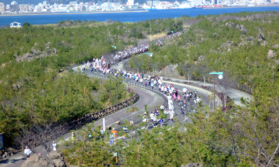桜島とコースの空撮